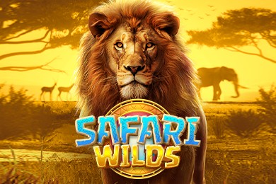 Safariwilds слот СпейсВин Казино